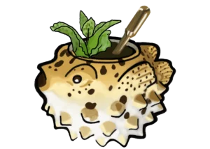 koana-puffer-682dca8181782